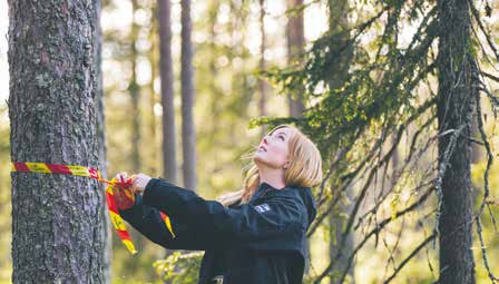 Skogen skapar sysselsättning. Vill du växa med oss? Vår vision är att vara Sveriges ledande skogsföretag. För att lyckas behöver vi engagerade medarbetare.