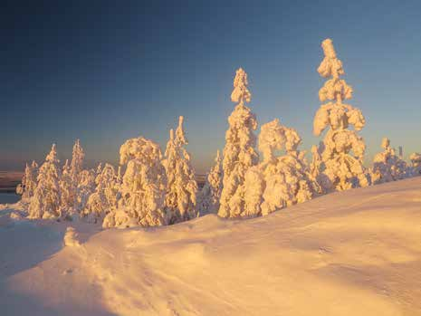 Färdtjänst: 0933-131 06 Riksfärdtjänst: Dag - helgfri vardag 08:00-17:00 090-12 23 30 Övrig tid + Vid akuta ärenden såsom avbokning/ombokning vänligen ring 090-205 78 98 Sjukresor: 0771-25 10 20 För