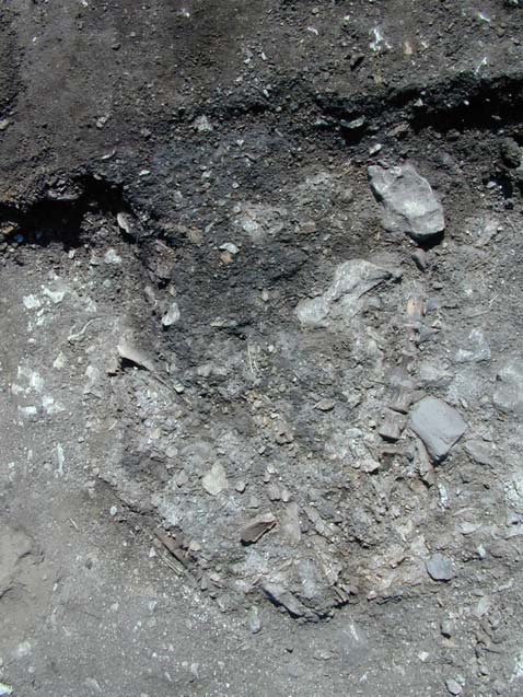 Anläggningar Härd och Keramikområde I det södra schaktet påträffades en härd med mittkoordinat X-0,48, Y-164,95.