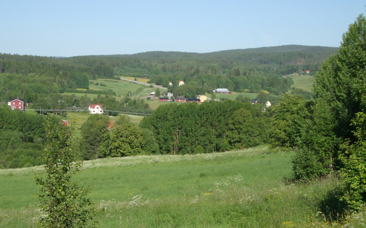 Skogsmarken är viktig för det rörliga friluftslivet Allemansrätten ger oss fri tillgång till skogen.