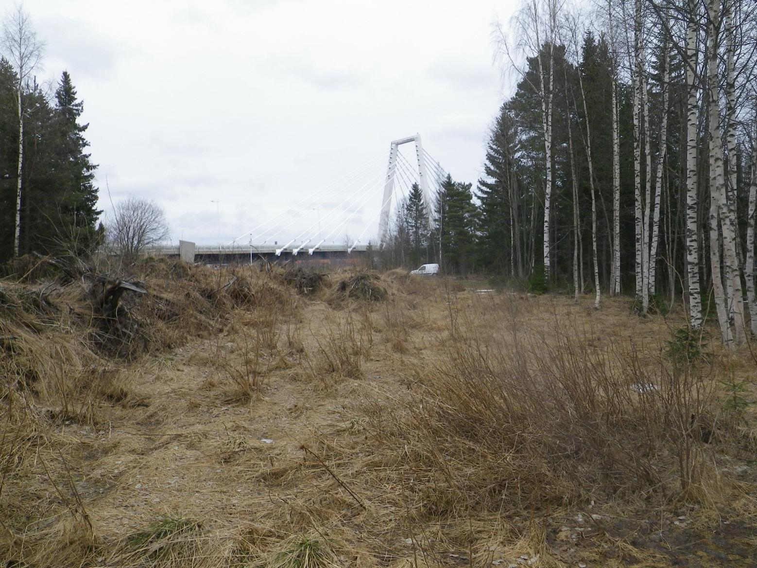 Översiktlig miljöteknisk markundersökning av bränngrop på Ön Del av Ön 2:13, Umeå kommun Mark och