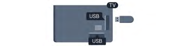 SCARTanslutningen. Installation Innan du kan pausa eller spela in en sändning måste du ansluta och formatera en USB-hårddisk.