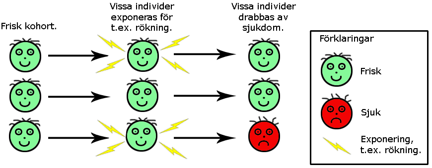 Statistiska analyser Från en fall-kontrollstudie kan man beräka en odds ratio för olika riskfaktorer.