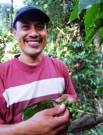 Adolfo Bellorin föddes i Quilali i norra Nicaragua i en familj med nio syskon. När hans far blev sjuk och inte kunde arbeta tog Adolfo över ansvaret för gården. Idag odlar han kaffe på sina 6 hektar.