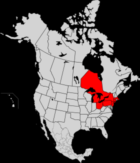 Exempel på en gränsöverskridande kris Elavbrottet i nordöstra USA 2003 The North American Power Grid Is One Large, Interconnected Machine * Påverkade 50 miljoner människor Ohio, Michigan,