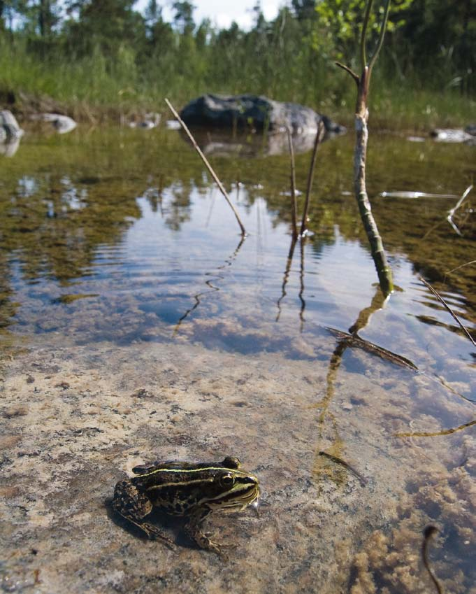 Lokal information Utöver de formella samråden pågick en omfattande informationsverksamhet i såväl Oskarshamn som Östhammar.