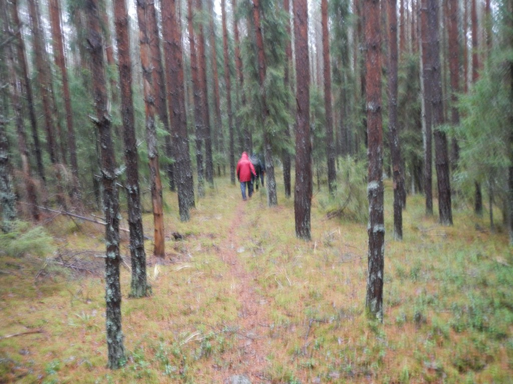 Tyvärr hann jag inte ta fler bilder för farten var hög. Det var inte förvånande eftersom det regnade och man måste hålla upp farten för att få upp värmen.