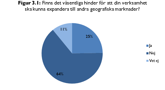 3. E-butikernas möjligheter till ökad handel Merparten - två tredjedelar - av företagen ser inga väsentliga hinder för att expandera sin verksamhet till nya geografiska marknader.