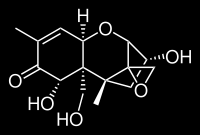 a) b) Figur 1. Struktur av (a) DON och (b) de-epoxy DON. T-2 toxin T-2 toxin (figur 2a) deacetyleras till HT-2 toxin (figur 2b) och T-2 triol (figur 2d) av mikroorganismerna i våmmen.