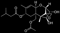 En annan studie har detekterat nedbrytning av T-2 toxin i renkulturer av bakterierna Butyrivibrio fibrisolvens, Anaerovibrio lipolytica och Selenomonas ruminantum (Westlake et al., 1987a).