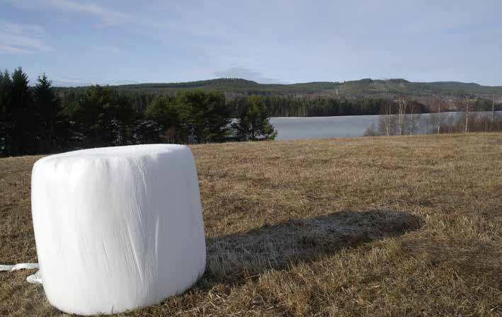 ÅKERMARK OCH EKONOMIBYGGNADER ÅKERMARK Enligt skogsbruksplanen uppgår