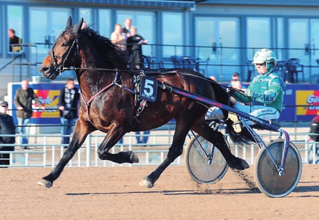 Många gånger har hans glädjetårar skänkt glädje till en hel travnation. Arne visade med sina känslor kärleken till djuret som är grunden för den sport vi alla älskar.