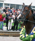 16,7/2140a. Hans Brunlöf satsade också på ett smyglopp med Gärdsjö Aragon och när han vreds ut på upploppet kunde han avgöra säkert sedan enda hotet galopperat bort sig.