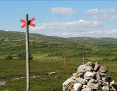 Mission bär alltid på det glada budskapet, evangeliet om Jesus Kristus. Hur mission utförs avgör tiden, platsen, mottagaren och tillfället - under den helige Andes ledning.