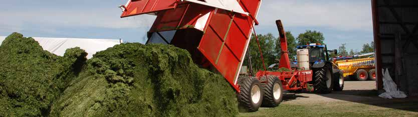 Intensiv odling Topp Mindre intensiv odling med klöver Hållfast Intensiv blandning med rörsvingelhybriden Hykor för skörd 3-4 ggr/år.