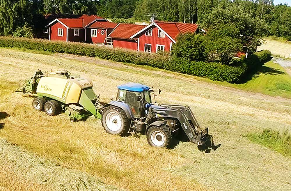 På Alebäcks Stuteri, utanför Lidköping är man mycket nöjd med sin Hykorvall 50% rörsvingelhybrid (Hykor) och 50% timotej ().