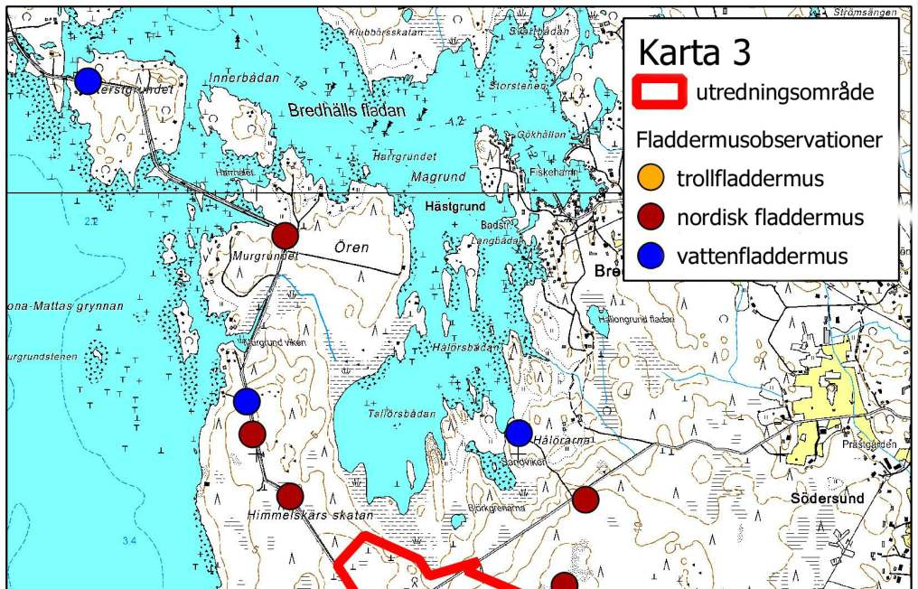 Karta 3. Fladdermusobservationer på området för vindkraftsparken på Bergö 2010.