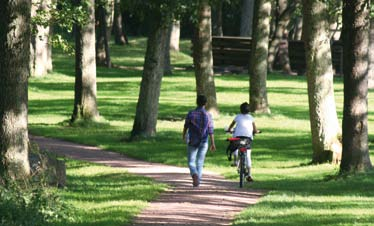 I denna broschyr presenteras några av de