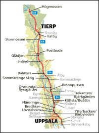 Time 214-12-8 Gropkeramisk Kärlanvändning 19 % 32 % 7 % (Brorson,