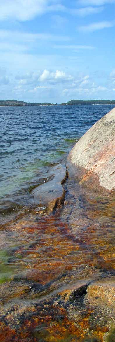 När befolkningen i Sverige började växa i slutet av 1700-talet, tog staten till många åtgärder för att utöka åkerarealen.