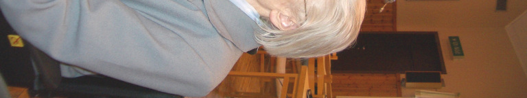 årliga julfest.