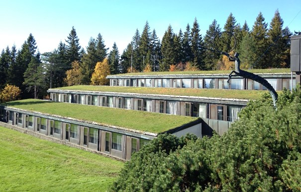 Bevara, använda och utveckla fastigheternas värden Att bevara, utveckla och använda är en komplex kombination, men tillsammans bildar de en förutsättning för en hållbar förvaltning av kultur- och