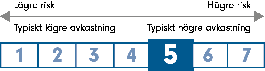 Global Opportunities Fund AACCEuro Inriktning och stil Portföljförvaltningsteamet anser att Fidelitys analytiker kan identifiera investeringsmöjligheter med potential att leverera långsiktig