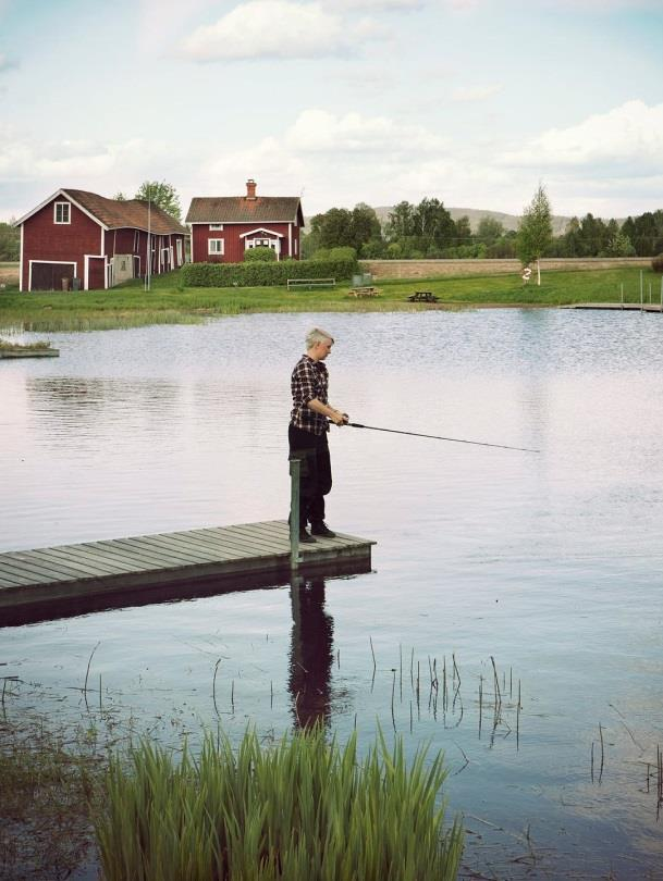 i brunnens vatten för att bli sjuk.