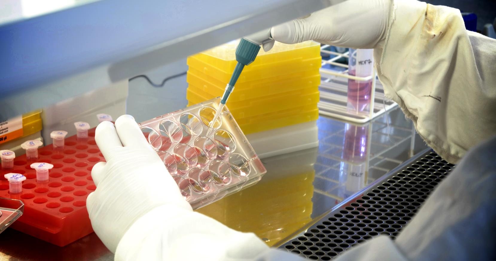 BOLAGSÖVERSIKT Sprint Bioscience utvecklar läkemedel inom området cancer och diabetes.