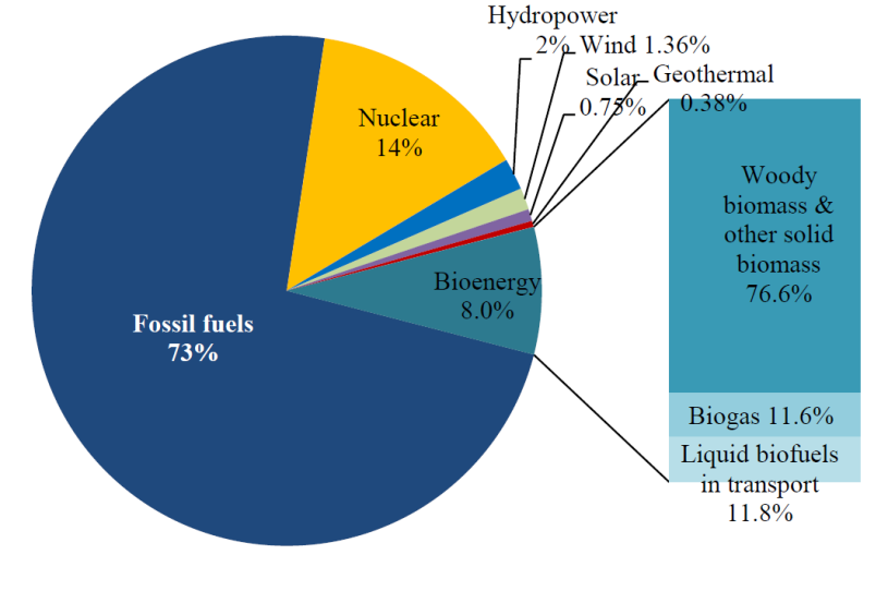 Bioenergy The issues Focus on solid biomass/biogas for heat and power major role for the EU climate & energy objectives.