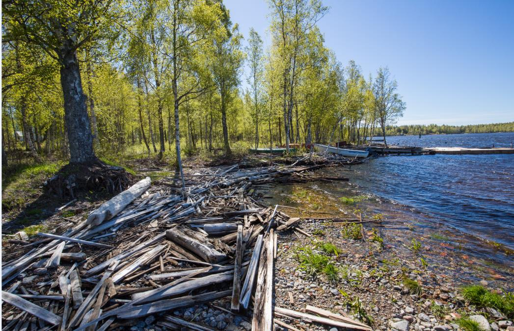 Figur 4. Långgrundets västra sida där erosionsskydd planeras.