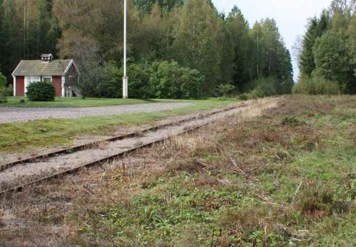insektsarter av skalbaggar, steklar, fjärilar och stritar. Figur 19. Trumgräshoppa.