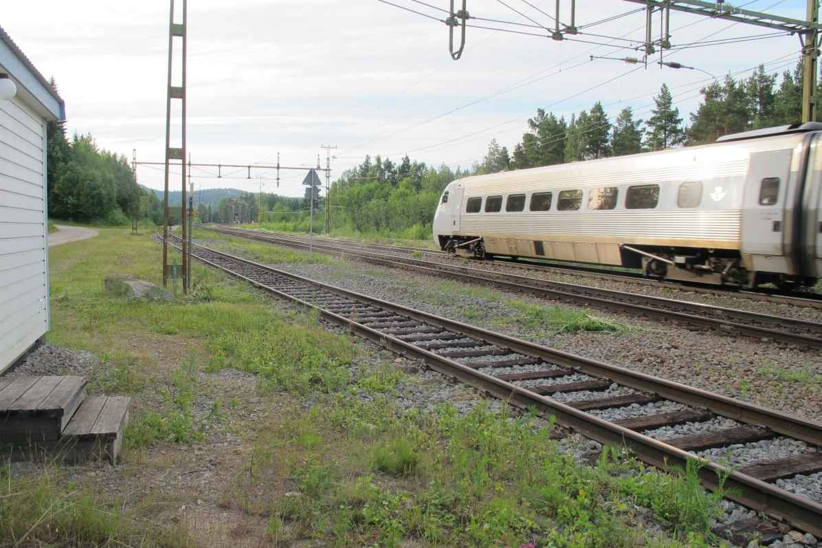 Figur 23. Simeå är ett stationsområde som klassats som visst naturvärde. Här finns begränsat med sand och en medelmåttig förekomst av nektar- och pollenväxter. Stationsområdets yta är liten. 5.4.