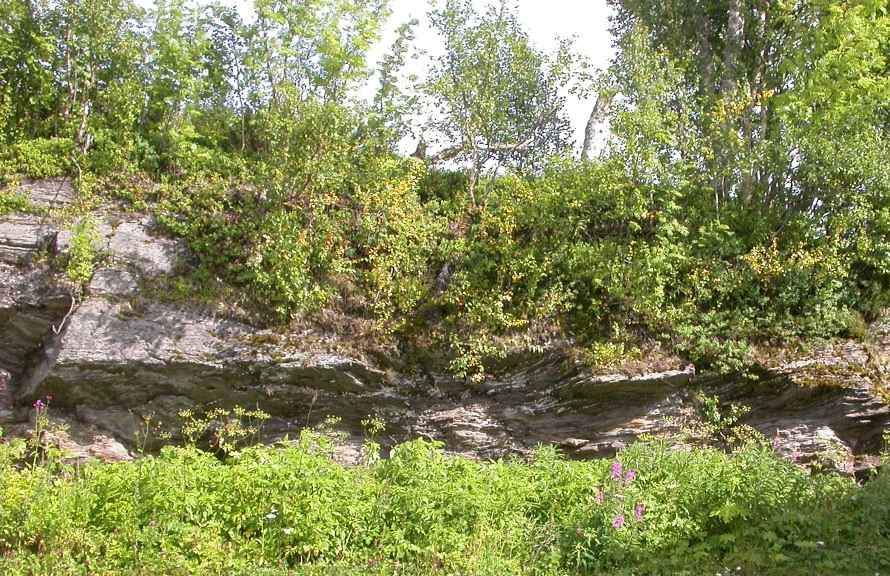 miljöer ofta mycket artrika och värdefulla. Basiska bergarter, och i synnerhet kalk, är särskilt värdefulla eftersom de är så sällsynta i landet.