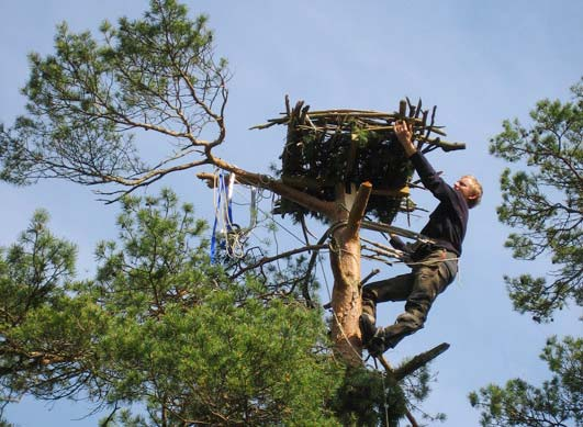 Fiskgjuse Våren 2001 byggdes två konstgjorda fiskgjusebon, ett i sjökanten rakt norr om Silvåkra gods och det andra på en halvö cirka 250 meter sydväst om Silvåkratornet.