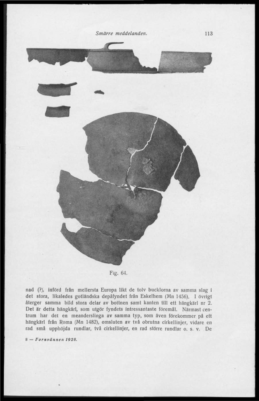 Smärre meddelanden. 113 Fig. 64. nad (?), införd frän mellersta Europa likt de tolv bucklorna av samma slag i det stora, likaledes gotländska depåfyndet från Eskelhem (Mn 1456).