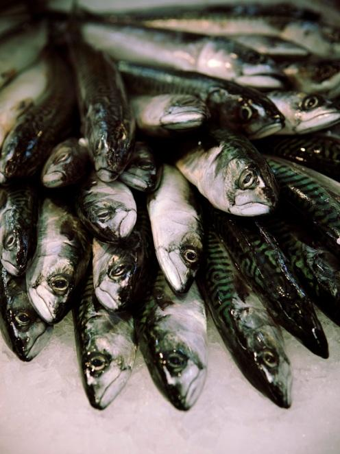 Tillsynsavdelningen Fiskerikontroll och fiskestopp Sanktioner för överträdelser inom yrkesfisket