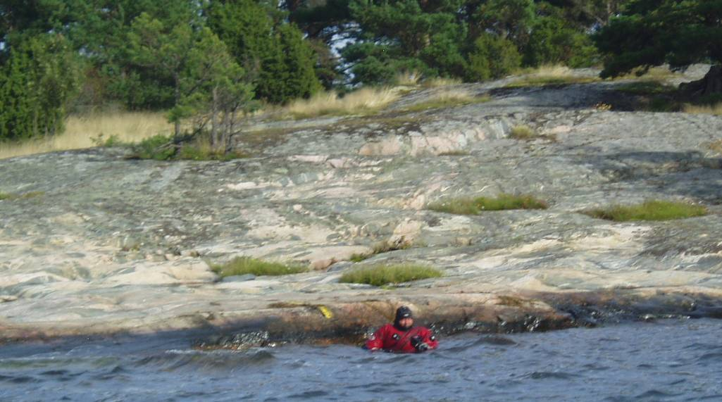 Transekt E26, Lilla Björnskär. Figur 4:.