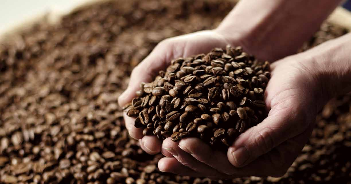 Vi har naturligtvis också ekologiskt och hållbart odlat kaffe, liksom mjölk och chokladdryck. För att hjälpa dig välja anges styrkan på alla våra kaffesorter.