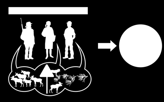 Adaptiv förvaltning Skogen och skötseln av denna förändras kontinuerligt i likhet med älg- och