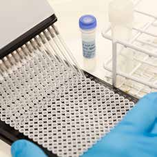 TRANSPLANTATIONSDIAGNOSTIK EN GLOBAL OCH VÄRDEFULL NISCHMARKNAD VERKSAMHETSBERÄTTELSE När det gäller antikroppsdetektion domineras marknaden av reagenser för SSO-diagnostik.
