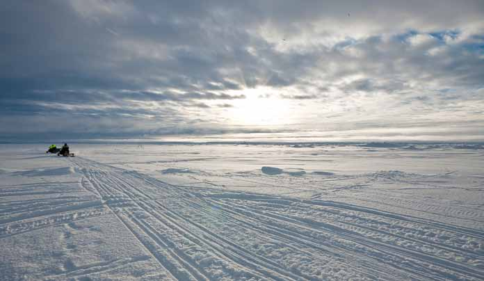 Arkti i ett globalt foku Mitra utlyer ett nytt program med amhällvetenkaplig inriktning.