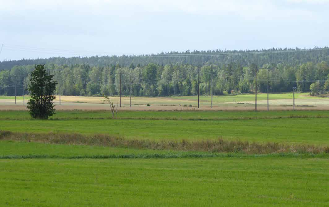 FRISKRIVNING En friskrivningsklausul kommer att finnas med i köpekontraktet där säljaren friskriver sig från fel eller brister i fastigheten.