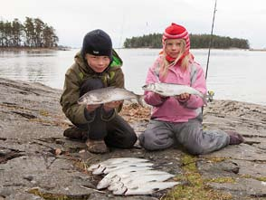 Elritsa Groplöja Svartmunnade smörbultar bottenlevande fiskarter.