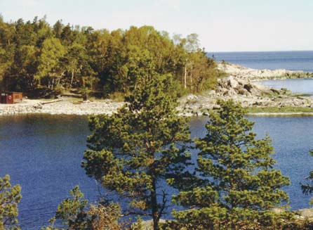 Utsikt över Nothamn mot norr. De ljusa bergarterna består av marmor och vulkaniter.