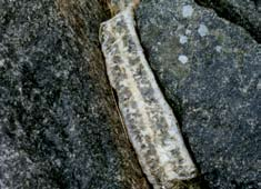 I bakgrunden syns marmor. Nedre bilden: Zonerad pegmatit i gabbro mellan lokal 6 och 7 - nära kontakten med gabbrofragmentet.