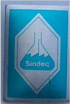 UGT SINCAP, Sindicato dos Trabalhadores da Administracao Publica e de Entidades com fins Publicos (svenska: Unionen av arbetare i den offentliga förvaltningen och i enheter