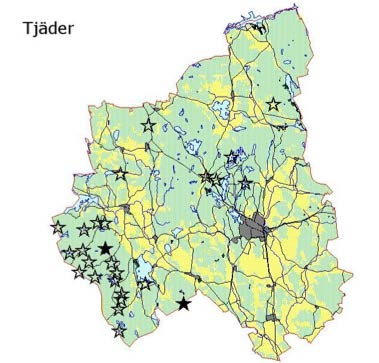 en period när populationerna av skogshöns hade en tillfällig topp då rävskabben bidragit till minskat predationstryck.