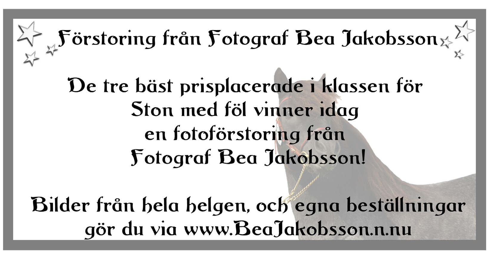 RING 1 Domare: Ulricha Nordmark 42 Olivehults Gwyneth Sv Sto 38070707 (Chip:) = född 2007 hos Lotta Hedborg, Olivehults Stuteri, Borensberg f: Olivehults Ghost 38913396 RS 334 m: Bradstone Sassah