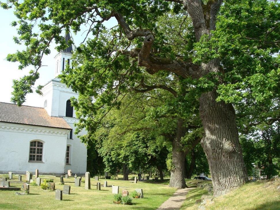 Regelverk Begravningslag 7 kap 37 Kulturmiljölag 4 kap.